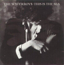 Waterboys - This is the Sea