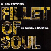 DJ Cam - Fillet of Soul