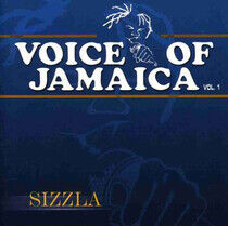Sizzla - Voice of Jamaica 1