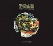 Toad the Wet Sprocket - Starting Now