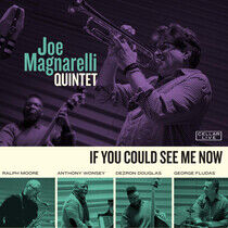 Magnarelli, Joe - If You Could See Me Now