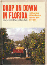 V/A - Drop On Down In Florida