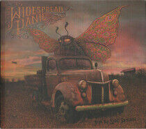 Widespread Panic - Dirty Side Down