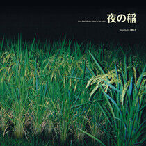 Kudo, Reiki - Rice Field Silently..