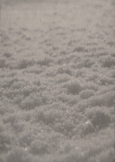 Paysage D\'hiver - Schnee