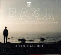 Halubek, Jorg - Bach Organ Landscapes:..