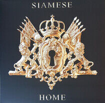 Siamese - Home -Coloured-