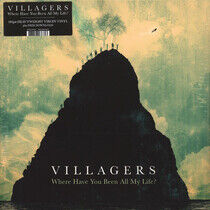 Villagers - Where Have You Been All..