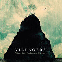 Villagers - Where Have You.. -Ltd-