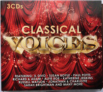 V/A - Classical Voices