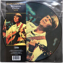 Campbell, Glen - Rhinestone Cowboy.. -Ltd-
