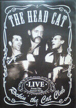 Head Cat - Rockin' the Cat Club