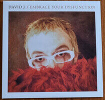 David J - Embrace Your Dysfunction