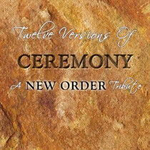 New Order =Tribute= - Twelve Versions of..