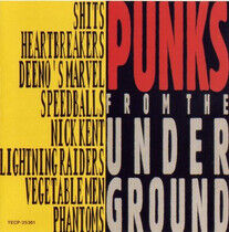 V/A - Punks From the Undergroun