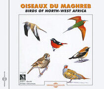 V/A - Oiseaux Du Maghreb