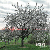 Orchard - Serendipity