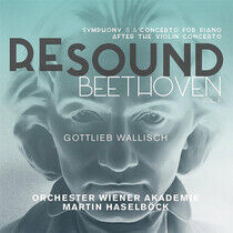 Beethoven, Ludwig Van - Resound Beethoven..