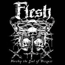 Flesh - Worship the Soul of..