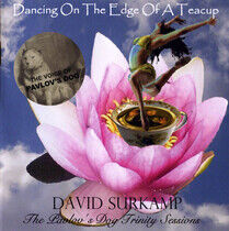 Surkamp, David - Dancing On the Edge of A