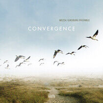 Mezza & Ginsburg Ensemble - Convergence