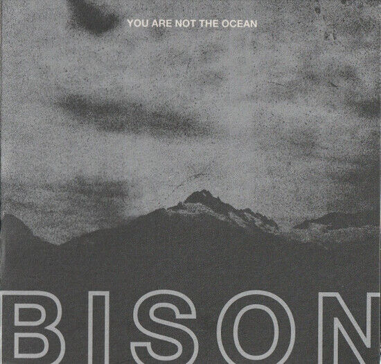 Bison - You Are Not the Ocean..