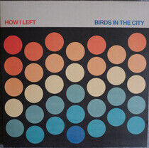 How I Left - Birds In the City