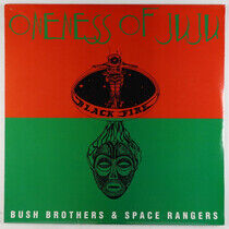 Plunky & Oneness of Juju - Bush Brothers & Space..