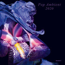 V/A - Pop Ambient.. -Download-