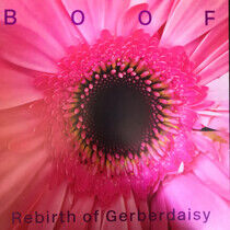 Boof - Rebirth of Gerberdaisy