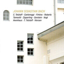 Bach, Johann Sebastian - Brandenburg Concerto No.6