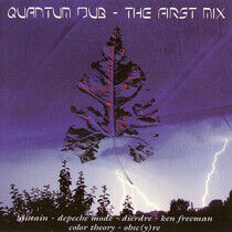 Quantum Dub - First Mix