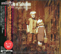 Pain of Salvation - Perfect Element + 1