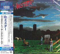 Mr. Mister - Welcome To the.. -Ltd-
