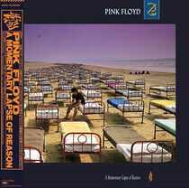 Pink Floyd - A Momentary Lapse.. -Ltd-