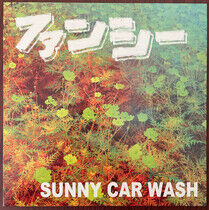 Sunny Car Wash - Fancy
