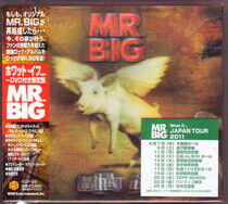 Mr. Big - What If -CD+Dvd-
