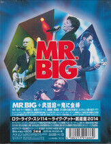 Mr. Big - Raw Like Sushi 114-Br+CD-