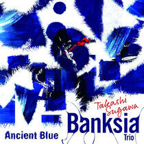 Takashi Sugawa Banksia Tr - Ancient Blue