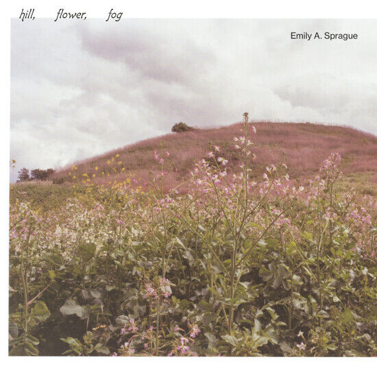 Sprague, Emily A. - Hill, Flower, Fog