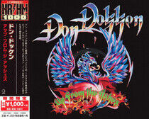 Dokken, Don - Up From the Ashes -Ltd-