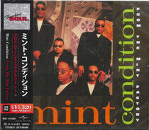 Mint Condition - From the Mint.. -Ltd-