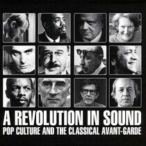 V/A - A Revolution In Sound