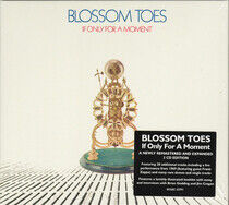 Blossom Toes - If Only For a Moment