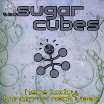 Sugarcubes - Here Today, Tomorrow..
