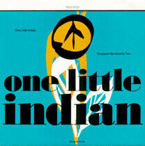 V/A - One Little Indian Vol.2