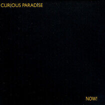 Curious Paradise - Now!