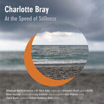 Bray, C. - At the Speed of Stillness
