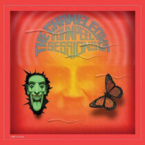 Chameleons - John Peel Sessions