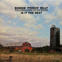 Bonnie Prince Billy - Is It the Sea?
